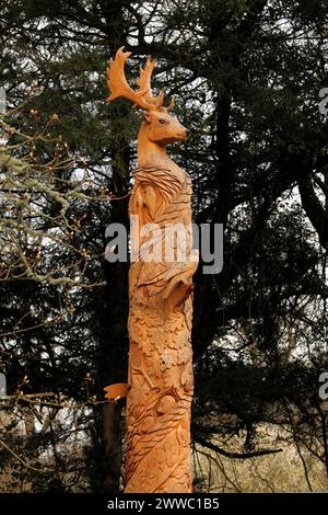 Nahaufnahme der Schnitzerei zum Gedenken an die Krönung von König Karl III. Das alte Carving Cirencester Park, Glos, Großbritannien Stockfoto