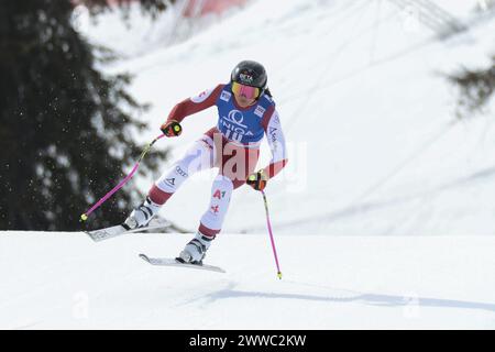 Saalbach Hinterglemm, Österreich. März 2024. Saalbach-Hinterglemm, ÖSTERREICH - 23. MÄRZ: Stephanie Venier aus Österreich beim Finale des Audi FIS Alpine Ski World Cup - Damen Abfahrt am 23. März 2024 in Saalbach-Hinterglemm, Österreich.240323 SEPA 07 018 - 20240323 PD3894 Credit: APA-defacto Datenbank und Contentmanagement GmbH/Alamy Live News Stockfoto