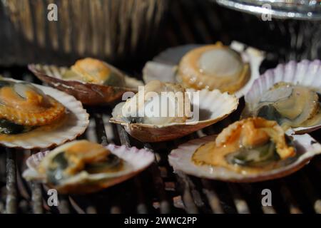 Verschiedene Arten von Muscheln werden auf einem Grill gegrillt, dann in Würze getaucht und gegessen. Stockfoto