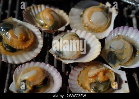 Verschiedene Arten von Muscheln werden auf einem Grill gegrillt, dann in Würze getaucht und gegessen. Stockfoto