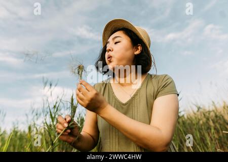 Sorglose reife Frau, die auf Löwenzahn auf dem Feld bläst Stockfoto