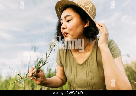 Glückliche, reife Frau, die Hut trägt und auf dem Feld auf Löwenzahn bläst Stockfoto