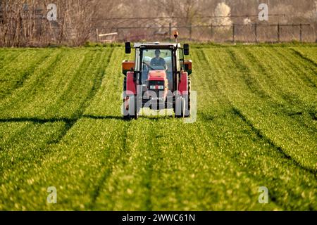 Landwirt fährt Traktor und spritzt Dünger auf dem Feld Stockfoto