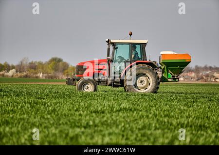 Landwirt düngt Erntegut durch den Traktor auf grünem Feld Stockfoto