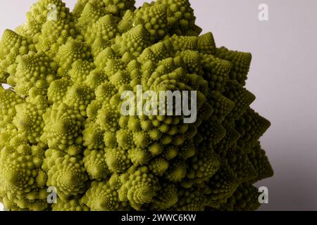Makro eines biologischen Beispiels von Fibonacci-Spiralen und -Fraktalen in der Natur mit einem Romanesco-Blumenkohl Stockfoto