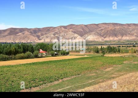 Ländliche Landschaft im Chong Kemin Nationalpark in Kirgisistan in Zentralasien Stockfoto