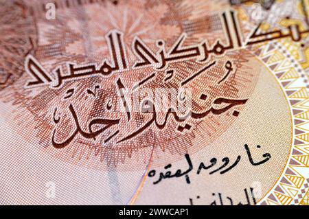 Details von der Vorderseite von 1 LE EGP eine ägyptische Pfund-Banknotenscheine zeigt Sultan Qaitbay Moschee in der linken Mitte Ausgaben der Zentralbank Stockfoto