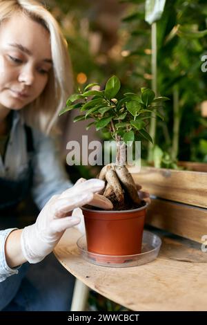 Gärtner kümmert sich um Topfpflanzen im Geschäft Stockfoto