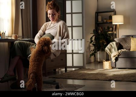 Lächelnde schwangere Frau, die mit Hund im Wohnzimmer spielt Stockfoto