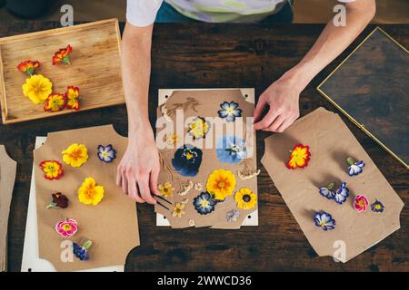 Hände einer Frau, die zu Hause getrocknete Blumen mit einer Pinzette auf Pappe arrangiert Stockfoto