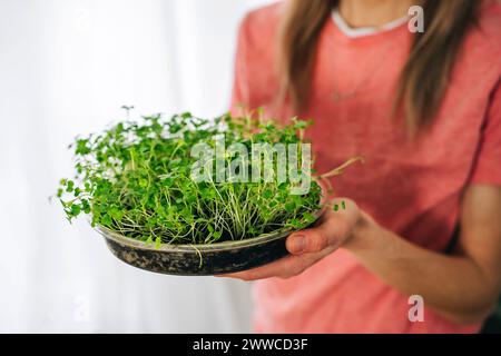 Frau, die Brokkoli-Mikrogrün zu Hause hält Stockfoto