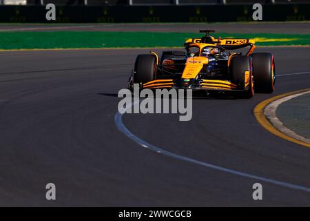Melbourne, Australien. März 2024. 23. März 2024: Melbourne Grand Prix Circuit, Melbourne, Victoria, Australien; Formel-1-Grand-Prix von Australien: Qualifikationstag; McLaren-Fahrer Oscar Piastri Nummer 81 während des Quailifying Credit: Action Plus Sports Images/Alamy Live News Stockfoto
