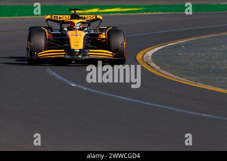 Melbourne, Australien. März 2024. 23. März 2024: Melbourne Grand Prix Circuit, Melbourne, Victoria, Australien; Formel-1-Grand-Prix von Australien: Qualifikationstag; McLaren-Fahrer Oscar Piastri Nummer 81 während des Quailifying Credit: Action Plus Sports Images/Alamy Live News Stockfoto