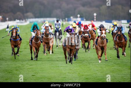 Doncaster, Großbritannien. 23. März 2024. Doncaster, Vereinigtes Königreich, Samstag, 23. März 2024. Herr Professor und David Egan gewinnen das William Hill Lincoln Heritage Handicap für Trainer Dominic French Davis und Besitzer Amo Racing Limited. Quelle: JTW equine Images/Alamy Live News Stockfoto