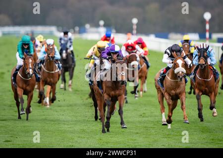 Doncaster, Großbritannien. 23. März 2024. Doncaster, Vereinigtes Königreich, Samstag, 23. März 2024. Herr Professor und David Egan gewinnen das William Hill Lincoln Heritage Handicap für Trainer Dominic French Davis und Besitzer Amo Racing Limited. Quelle: JTW equine Images/Alamy Live News Stockfoto