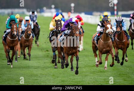 Doncaster, Großbritannien. 23. März 2024. Doncaster, Vereinigtes Königreich, Samstag, 23. März 2024. Herr Professor und David Egan gewinnen das William Hill Lincoln Heritage Handicap für Trainer Dominic French Davis und Besitzer Amo Racing Limited. Quelle: JTW equine Images/Alamy Live News Stockfoto