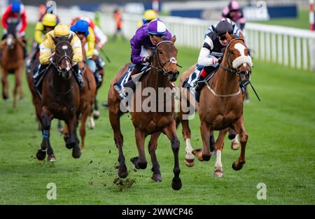 Doncaster, Großbritannien. 23. März 2024. Doncaster, Vereinigtes Königreich, Samstag, 23. März 2024. Herr Professor und David Egan gewinnen das William Hill Lincoln Heritage Handicap für Trainer Dominic French Davis und Besitzer Amo Racing Limited. Quelle: JTW equine Images/Alamy Live News Stockfoto