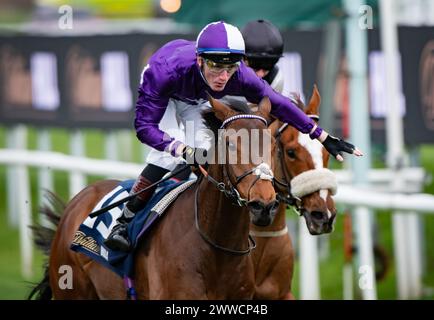Doncaster, Großbritannien. 23. März 2024. Doncaster, Vereinigtes Königreich, Samstag, 23. März 2024. Herr Professor und David Egan gewinnen das William Hill Lincoln Heritage Handicap für Trainer Dominic French Davis und Besitzer Amo Racing Limited. Quelle: JTW equine Images/Alamy Live News Stockfoto