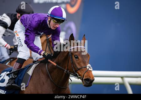 Doncaster, Großbritannien. 23. März 2024. Doncaster, Vereinigtes Königreich, Samstag, 23. März 2024. Herr Professor und David Egan gewinnen das William Hill Lincoln Heritage Handicap für Trainer Dominic French Davis und Besitzer Amo Racing Limited. Quelle: JTW equine Images/Alamy Live News Stockfoto