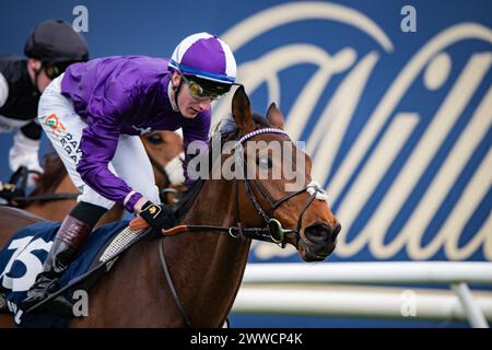 Doncaster, Großbritannien. 23. März 2024. Doncaster, Vereinigtes Königreich, Samstag, 23. März 2024. Herr Professor und David Egan gewinnen das William Hill Lincoln Heritage Handicap für Trainer Dominic French Davis und Besitzer Amo Racing Limited. Quelle: JTW equine Images/Alamy Live News Stockfoto