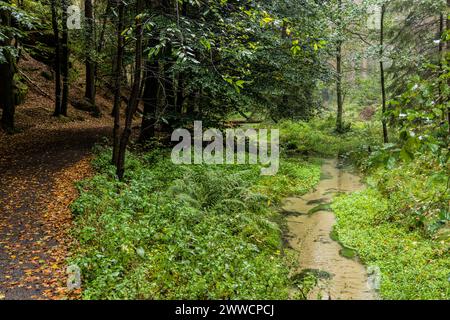 Jetrichovicka Bela Fluss im Nationalpark Tschechische Schweiz, Tschechische Republik Stockfoto