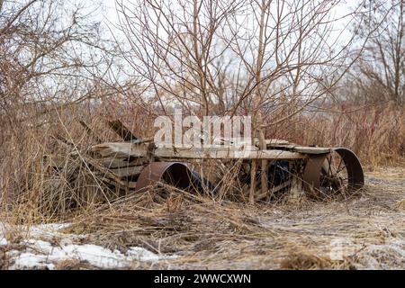 Ein alter Wagen steht zwischen hohem Gras auf einem Feld Stockfoto