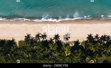 Drohnenaufnahme von Bingil Bay Beach in Mission Beach, tropisches North Queensland, Australien Stockfoto