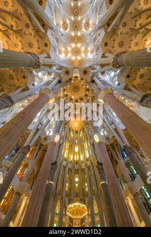 Deckengewölbe, Säulen, Sagrada Familia, Basilika von Antoni Gaudi, Barcelona, Katalonien, Spanien Stockfoto