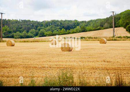 Hay-Rollen auf einem Feld mit Telefonkabeln, die durchlaufen Stockfoto