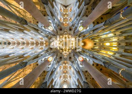 Deckengewölbe, Säulen, Sagrada Familia, Basilika von Antoni Gaudi, Barcelona, Katalonien, Spanien Stockfoto