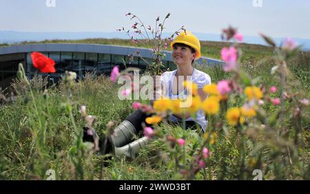 ***KOSTENLOSES FOTO FÜR REDAKTIONELLE ZWECKE*** bisher unveröffentlichtes Dateifoto vom 23.05/12, das Becky Johnston zeigt, wie er auf dem grünen Dach vor seiner Arbeit arbeitet Stockfoto