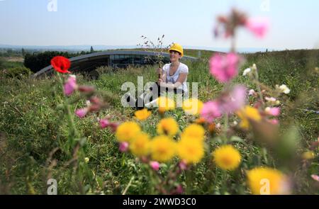 ***KOSTENLOSES FOTO FÜR REDAKTIONELLE ZWECKE*** bisher unveröffentlichtes Dateifoto vom 23.05/12, das Becky Johnston zeigt, wie er auf dem grünen Dach vor seiner Arbeit arbeitet Stockfoto