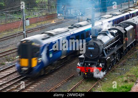 Edinburgh, Schottland, Großbritannien. März 2024. Eine seltene Black 5 (oder Class 5 Mixed Traffic) Dampflokomotive Nummer 44871, die von der Railway Touring Company betrieben wird, zieht Waggons mit Dampfzugliebhabern auf einem Tagesausflug von York nach Edinburgh. PIC; Kontrast zwischen alten und neuen Zügen, da ein Scotrail-Personenzug an der Lokomotive vorbeifährt, wenn sie bewässert wird und Kohle auf dem Anschlussgleis Joppa in Edinburgh annimmt. Iain Masterton/Alamy Live News Stockfoto