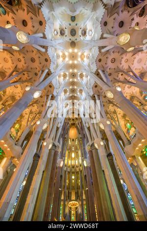 Deckengewölbe, Säulen, Sagrada Familia, Basilika von Antoni Gaudi, Barcelona, Katalonien, Spanien *** Gewölbedecke, Säulen, Sagrada Familia, Basilika von Antoni Gaudi, Barcelona, Katalonien, Spanien Stockfoto