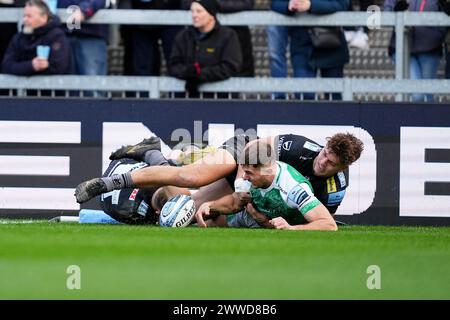 Exeter, Großbritannien. März 2024. Ben Stevenson von Newcastle Falcons erzielte den ersten Versuch für Newcastle während des Gallagher Premiership Rugby-Spiels zwischen Exeter Chiefs und Newcastle Falcons Rugby am 23. März 2024 im Sandy Park, Exeter, UK. Foto von Scott Boulton. Nur redaktionelle Verwendung, Lizenz für kommerzielle Nutzung erforderlich. Keine Verwendung bei Wetten, Spielen oder Publikationen eines einzelnen Clubs/einer Liga/eines Spielers. Quelle: UK Sports Pics Ltd/Alamy Live News Stockfoto