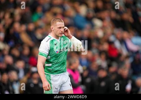 Exeter, Großbritannien. März 2024. Tom Penny von Newcastle Falcons während des Gallagher Premiership Rugby-Spiels zwischen Exeter Chiefs und Newcastle Falcons Rugby im Sandy Park, Exeter, Großbritannien am 23. März 2024. Foto von Scott Boulton. Nur redaktionelle Verwendung, Lizenz für kommerzielle Nutzung erforderlich. Keine Verwendung bei Wetten, Spielen oder Publikationen eines einzelnen Clubs/einer Liga/eines Spielers. Quelle: UK Sports Pics Ltd/Alamy Live News Stockfoto