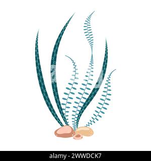 Algen. Handgezeichnete Algen bunter Algen. Unterwasserpflanzen. Moderne flache Illustration. Vektorabbildung Stock Vektor