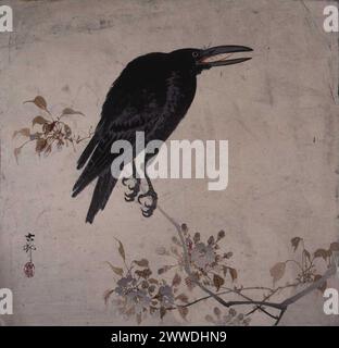 Japanisches Gemälde eines Raben von einem unbekannten Künstler aus der Sammlung von Sir Charles Jenkinson, das traditionelle Pinselarbeiten und eine naturalistische Darstellung des Vogels zeigt. Stockfoto