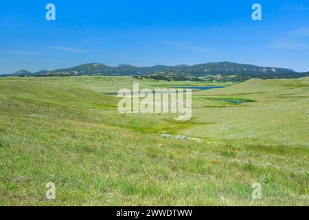 Prairie Feuchtgebiete unter den kleinen Rocky Mountains in der Nähe von schlichteten, montana Stockfoto