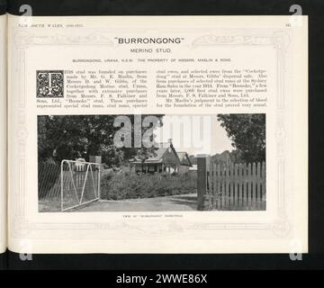 Beschreibung: Burrongong. Blick auf das 'Burrongong' Homestead. Ort: New South Wales, Burrongong, Urana, Sydney, Australien Datum: 1914 australien, australasien, ozeanien, australasien, Australien Stockfoto