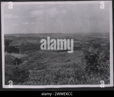 Beschreibung: Westindien. Sugar in den Westindischen Inseln - Allgemeine Bilder. Blick auf eine große Fläche des Zuckerlandes in der St. Andrews Parish, Barbados'. Foto-Nr.: D. 48499. Offizielles Foto von Westindien, zusammengestellt vom Central Office of Information. Ort: Westindien Datum: [1950] karibik, karibik, karibik, karibik Stockfoto