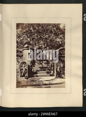 Beschreibung: Anuradhapura. Der heilige Bó-Baum. Erste Treppe an der Nordwand führt zur ersten Terrasse mit buddhistischen Priestern. Lage: Anuradhapura, Ceylon asia, Srilanka, ceylon, asiathroughalens Stockfoto