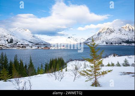 Wunderschöne arktische Winterlandschaft des Austnesfjordens mit einsamer Fichte im Vordergrund. Lofoten-Archipel in Nordnorwegen. Stockfoto