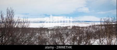 Panoramablick über Birkenwälder und den schneebedeckten Torneträsk-See, vom Abisko-Nationalpark in Nordschweden aus gesehen. Stockfoto