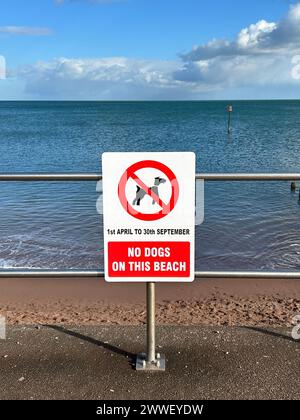 Keine Hunde auf dem Strandschild Stockfoto