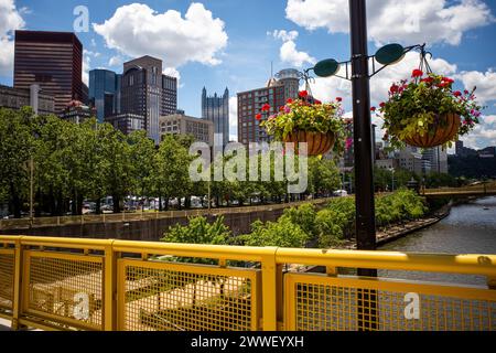 An einem sonnigen Tag bietet die gelbe Rachel Carson Bridge einen atemberaubenden Blick auf die Innenstadt von Pittsburgh, mit dem darunter der Allegheny River fließt, eingerahmt von der Blüte Stockfoto