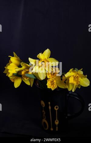 Strauß gelber Narzissen in einer Tasse auf schwarzem Hintergrund. Stockfoto