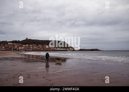 Winterspaziergang mit dem Hund am Strand Stockfoto