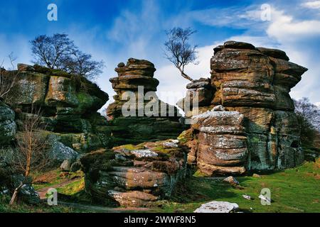 Malerischer Blick auf verwitterte Felsformationen mit einem einsamen Baum vor einem blauen Himmel mit Wolken bei Brimham Rocks in North Yorkshire Stockfoto