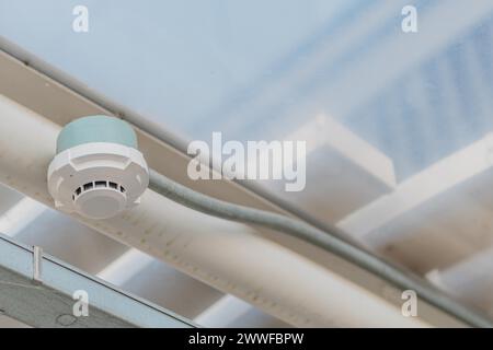 Elektronischer Rauchmelder an der Decke des geschlossenen Fußgängergehäuses mit verschwommenem Plexiglasfenster im Hintergrund in Südkorea Stockfoto